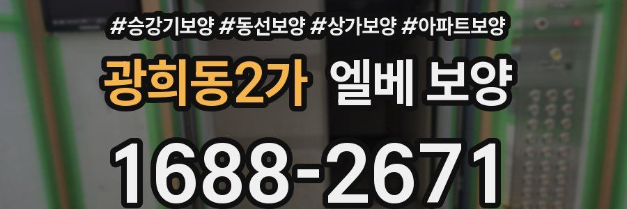 광희동2가 엘베 보양