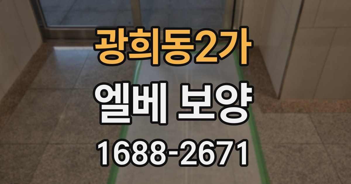 광희동2가 엘베 보양