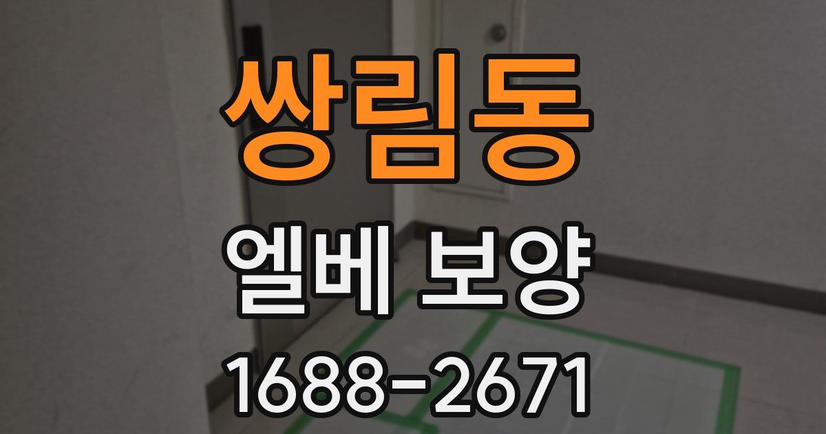 쌍림동 엘베 보양