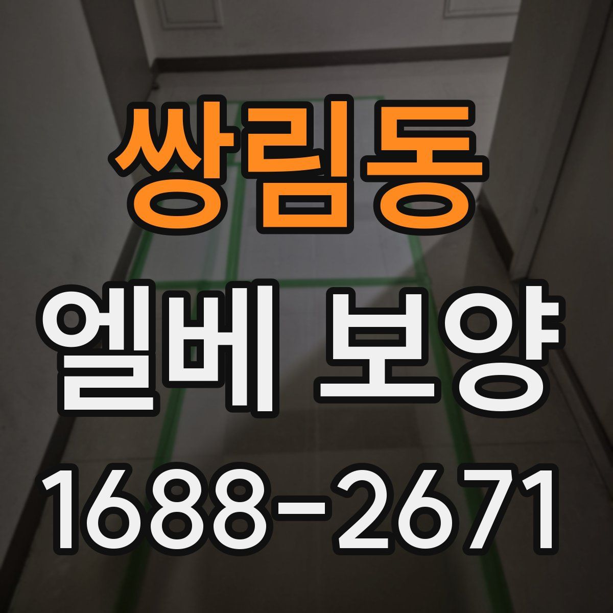 쌍림동 엘베 보양