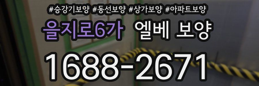 을지로6가 엘베 보양