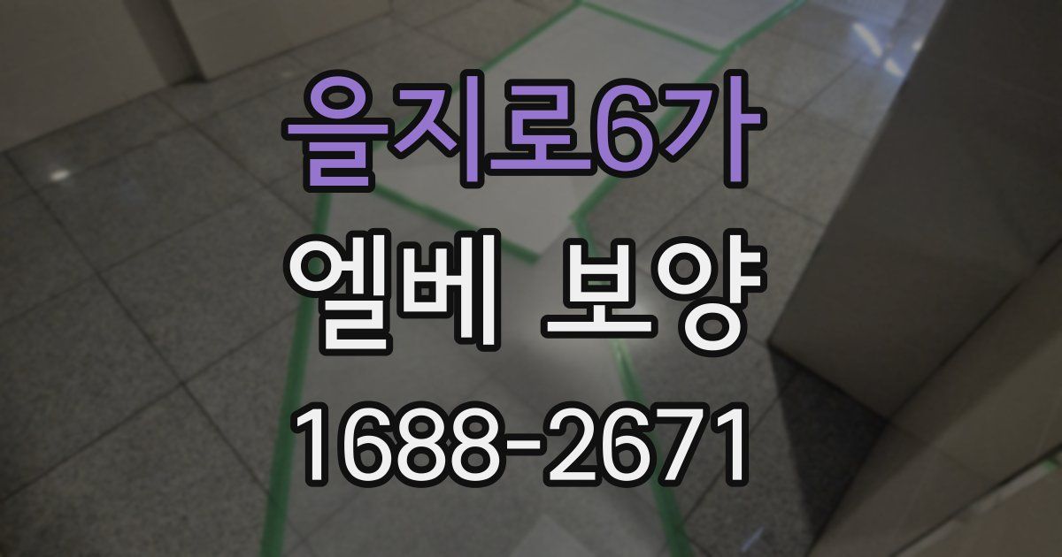 을지로6가 엘베 보양