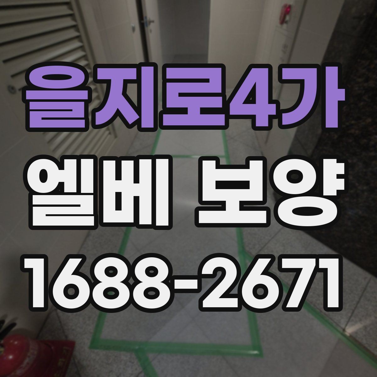을지로4가 엘베 보양 보행 동선이 복잡한 아파트에서 먼저 볼 점