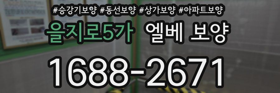 을지로5가 엘베 보양