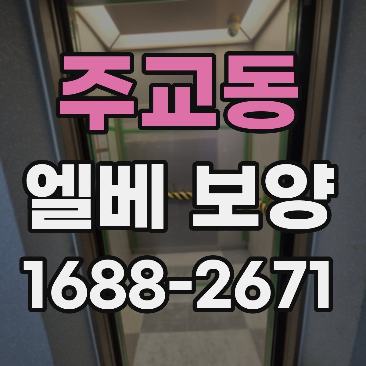 주교동 엘베 보양 작업자 이동이 많은 현장의 관리 포인트