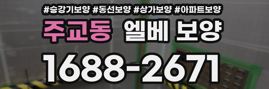 주교동 엘베 보양