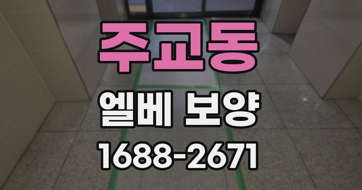 주교동 엘베 보양
