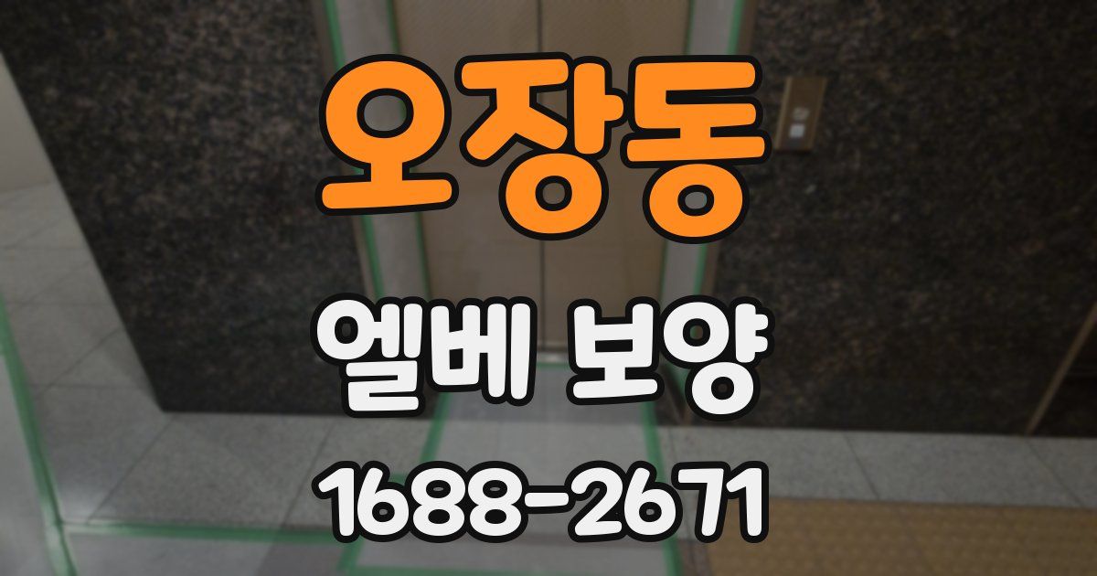 오장동 엘베 보양