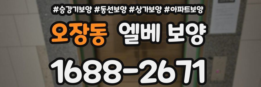 오장동 엘베 보양