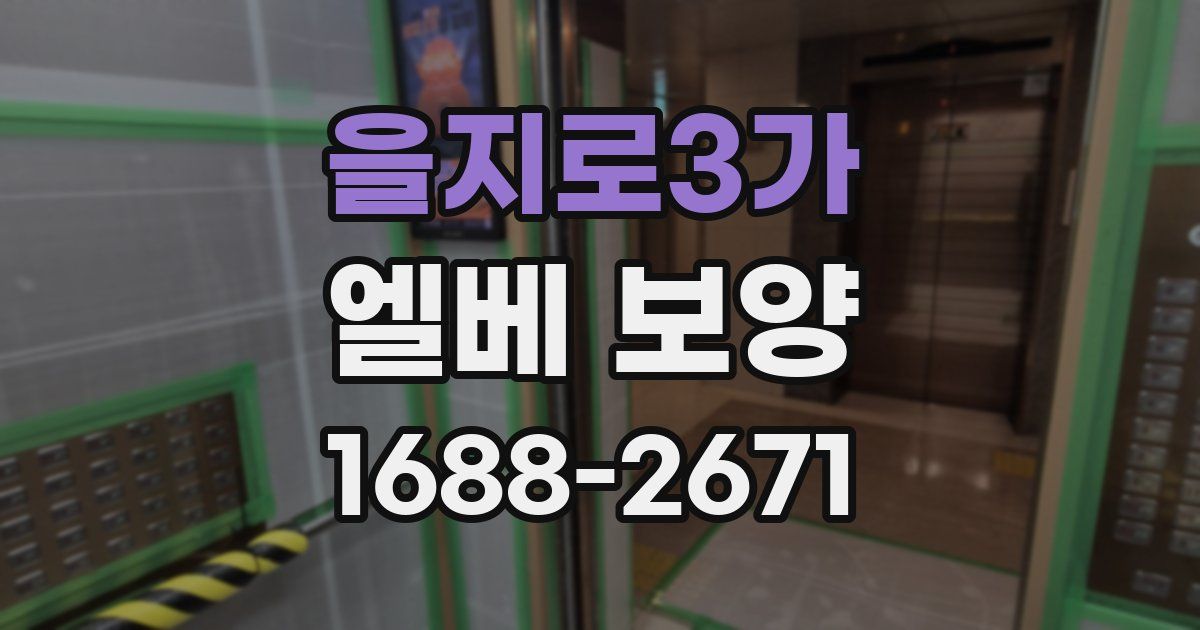 을지로3가 엘베 보양