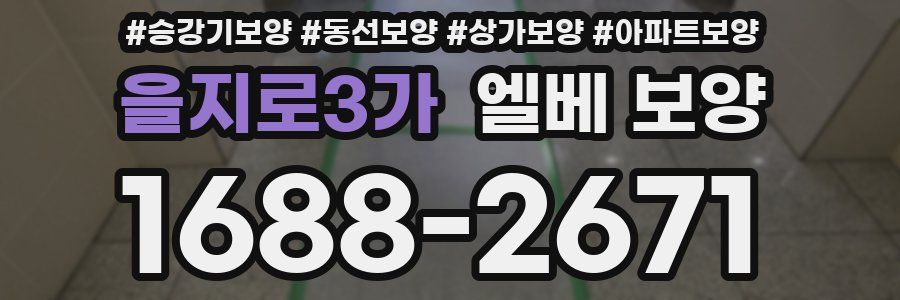 을지로3가 엘베 보양