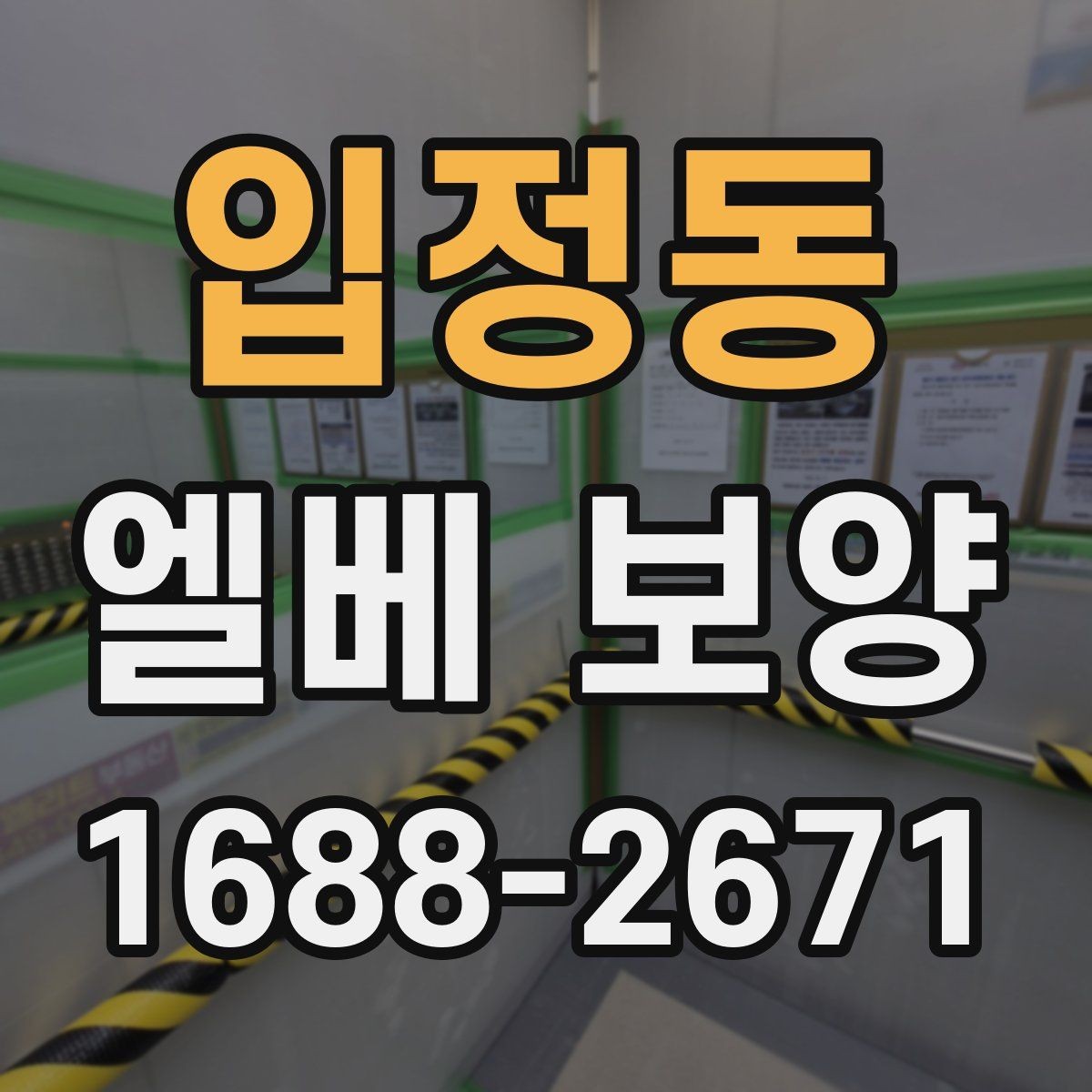입정동 엘베 보양 승강기 내부 마감 손상을 막는 실무 포인트