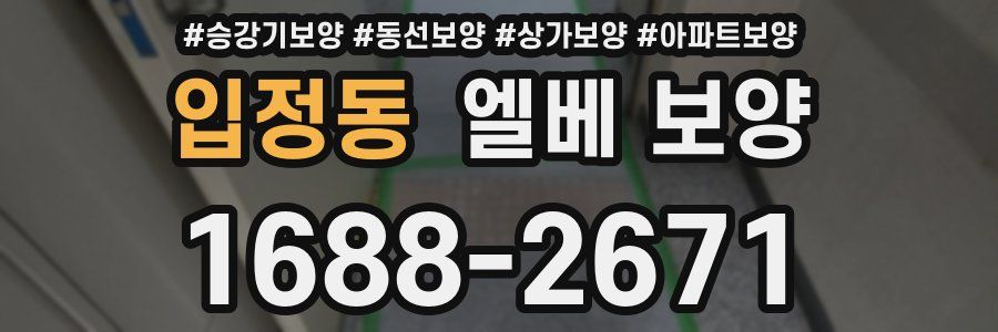 입정동 엘베 보양