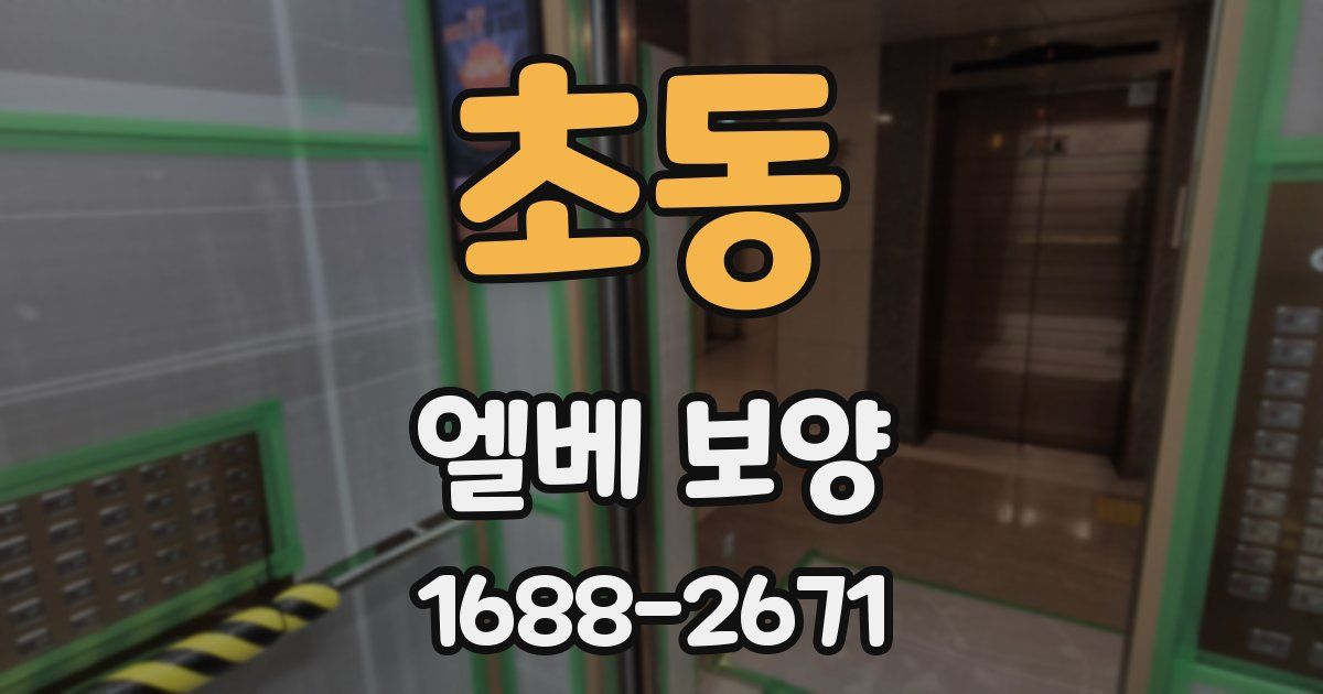 초동 엘베 보양