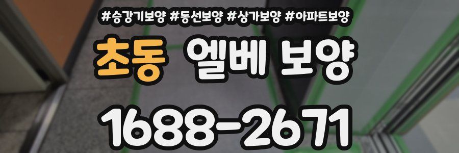 초동 엘베 보양