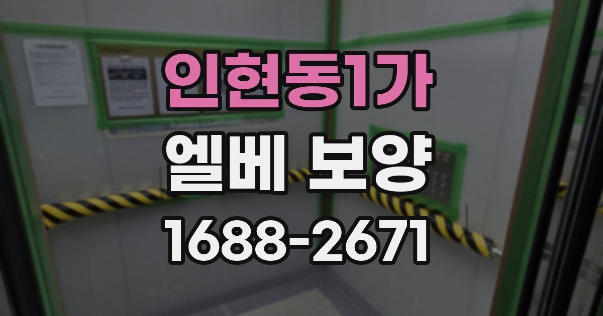 인현동1가 엘베 보양