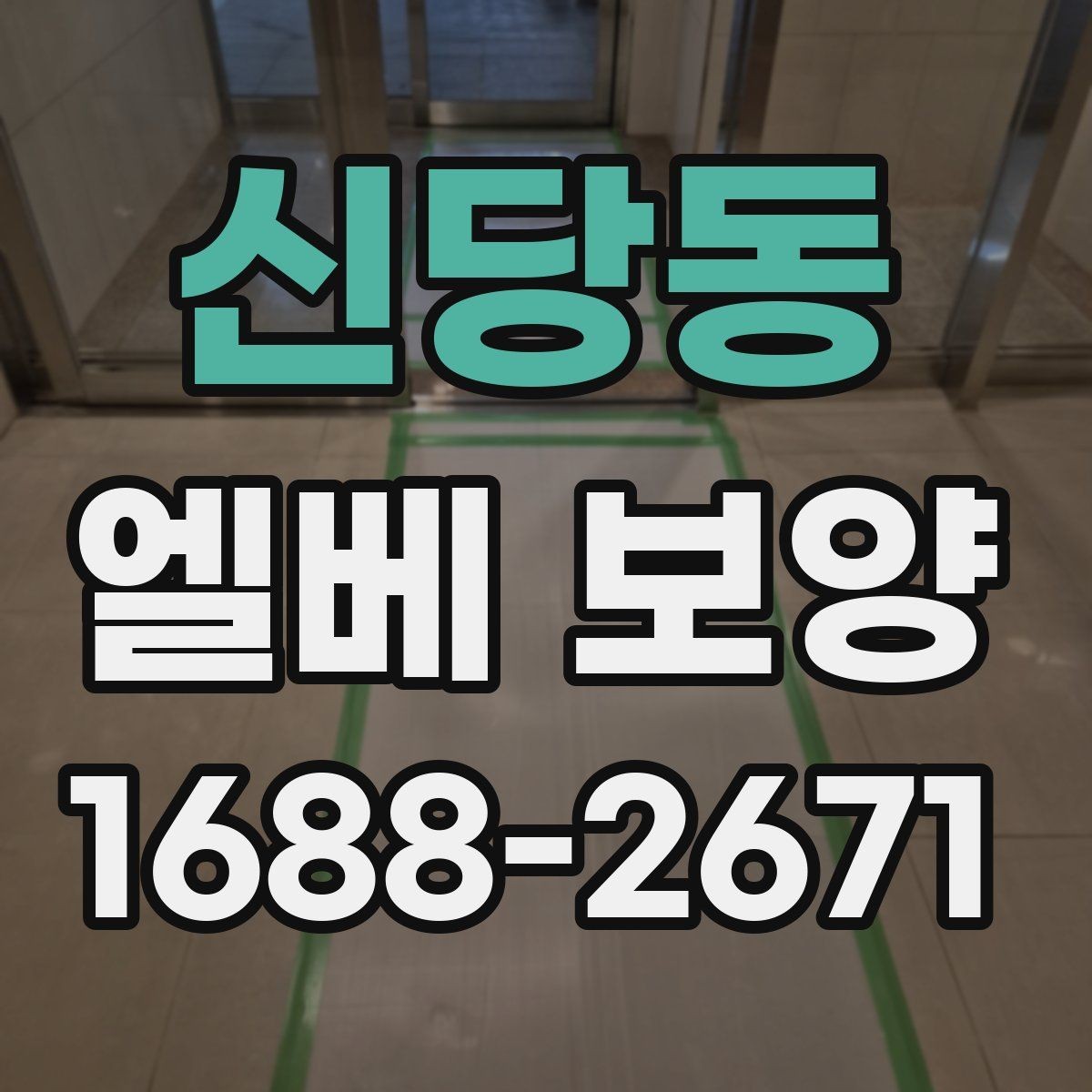 신당동 엘베 보양 현장마다 달라지는 보호 범위와 순서