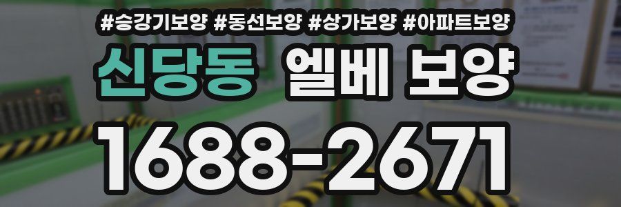 신당동 엘베 보양