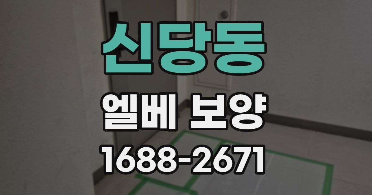신당동 엘베 보양