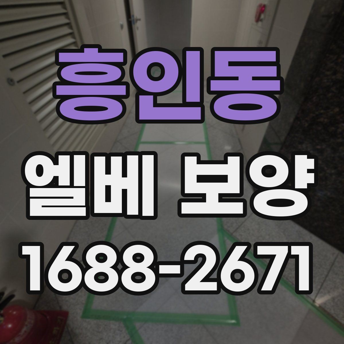 흥인동 엘베 보양 사진 기록으로 시공 상태를 남기는 방법
