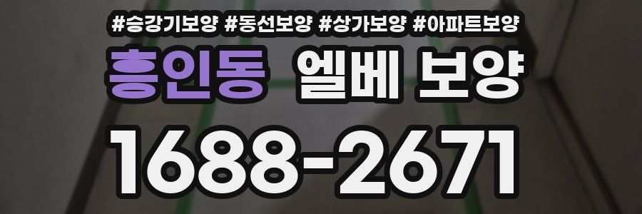 흥인동 엘베 보양