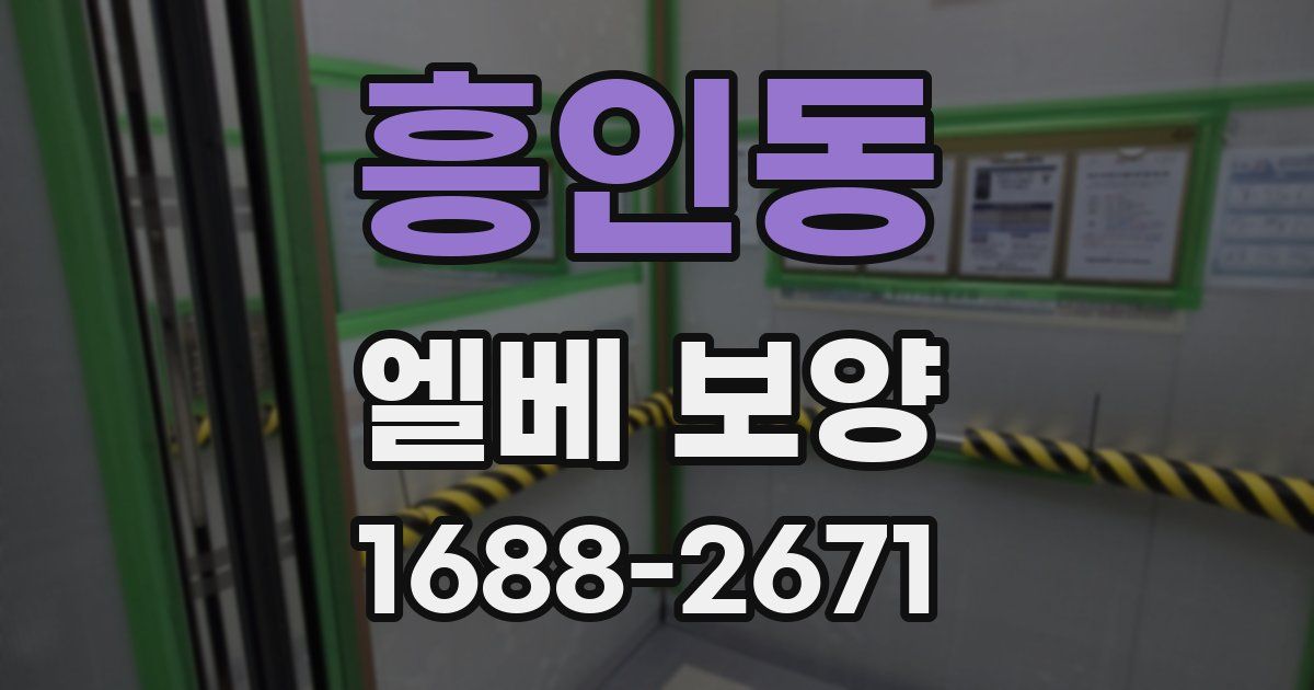 흥인동 엘베 보양