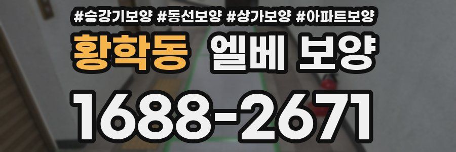황학동 엘베 보양