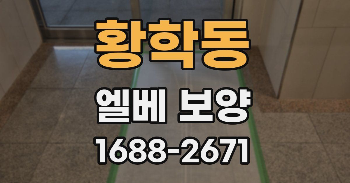 황학동 엘베 보양