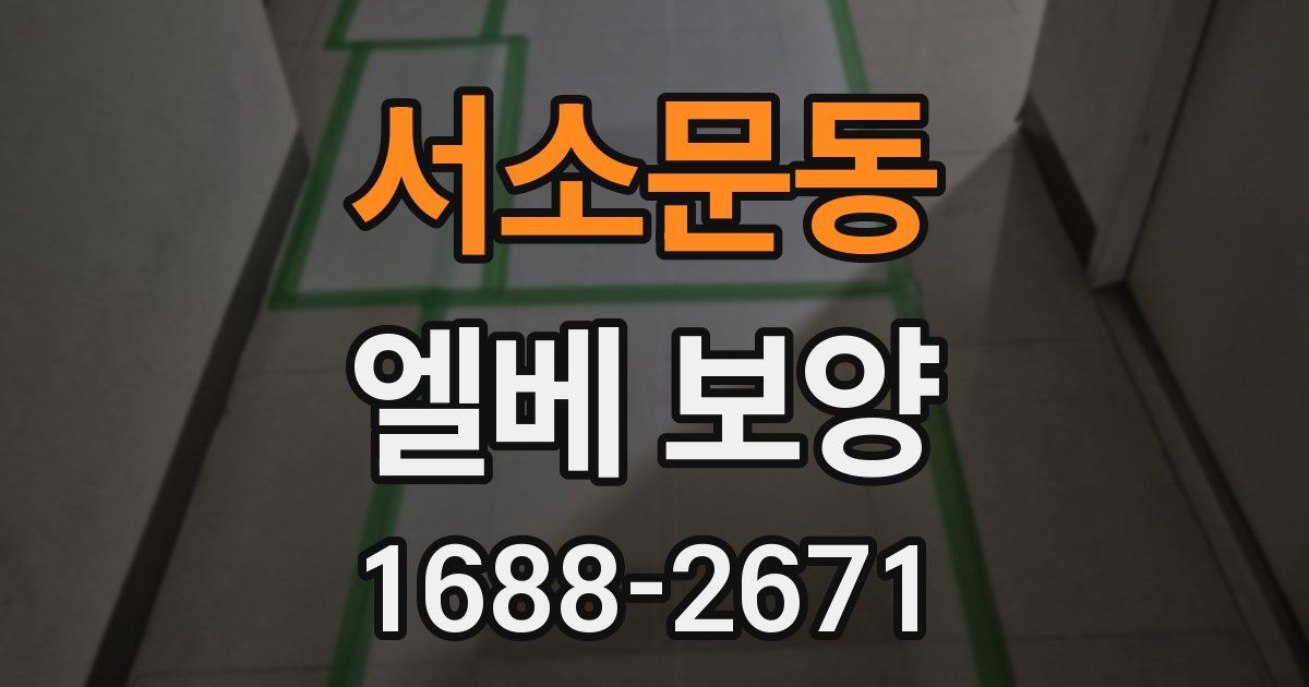 서소문동 엘베 보양