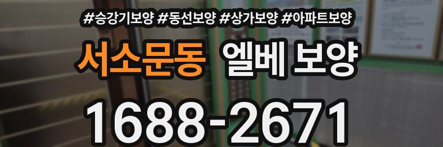 서소문동 엘베 보양