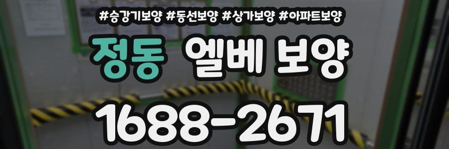 정동 엘베 보양