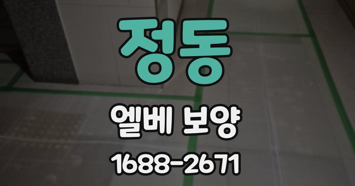 정동 엘베 보양