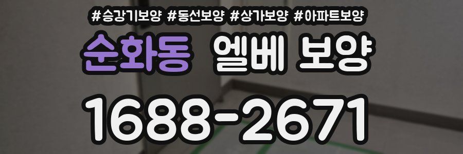 순화동 엘베 보양