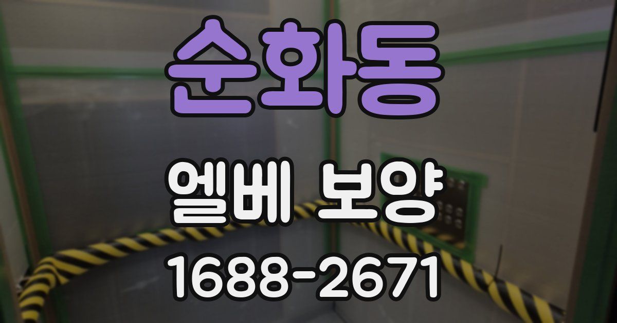 순화동 엘베 보양