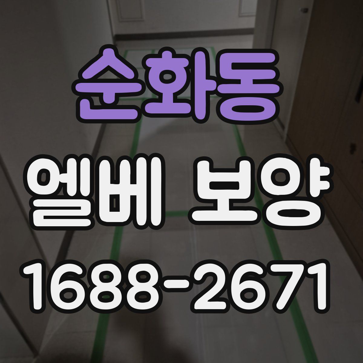 순화동 엘베 보양
