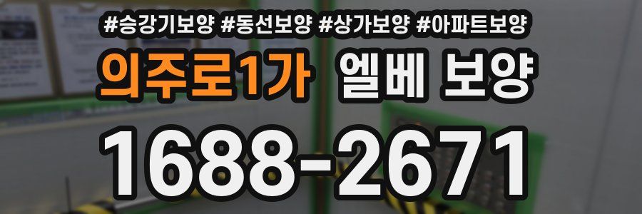 의주로1가 엘베 보양