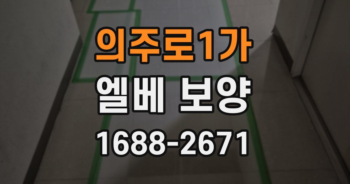 의주로1가 엘베 보양