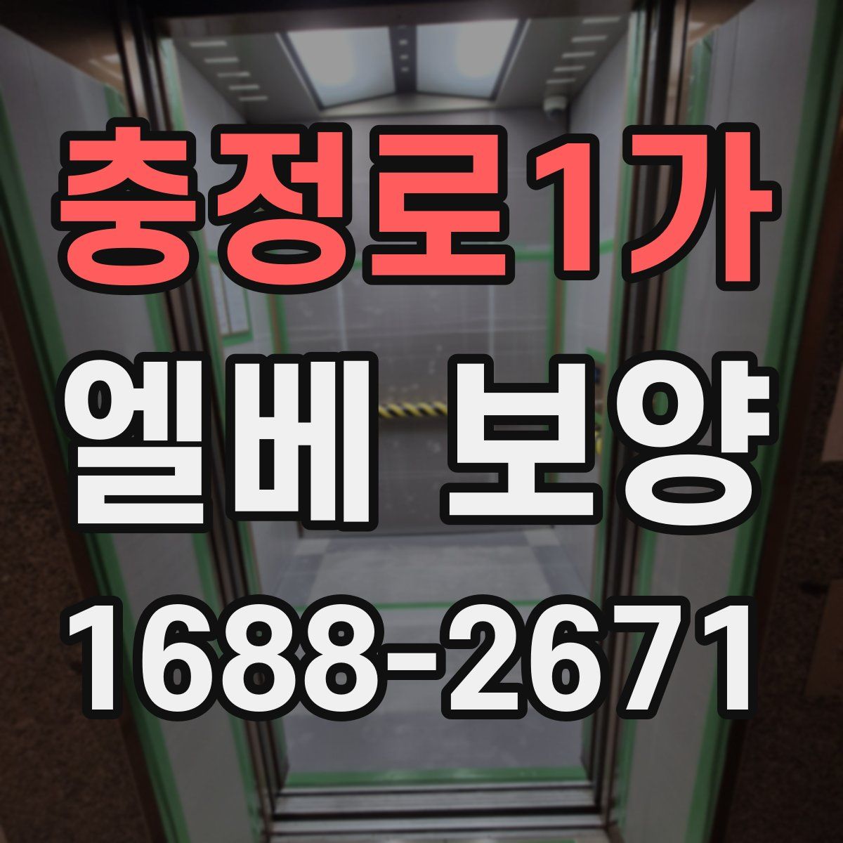 충정로1가 엘베 보양