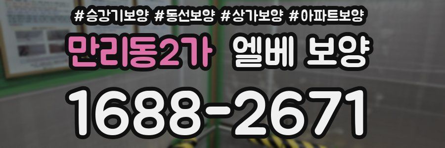 만리동2가 엘베 보양