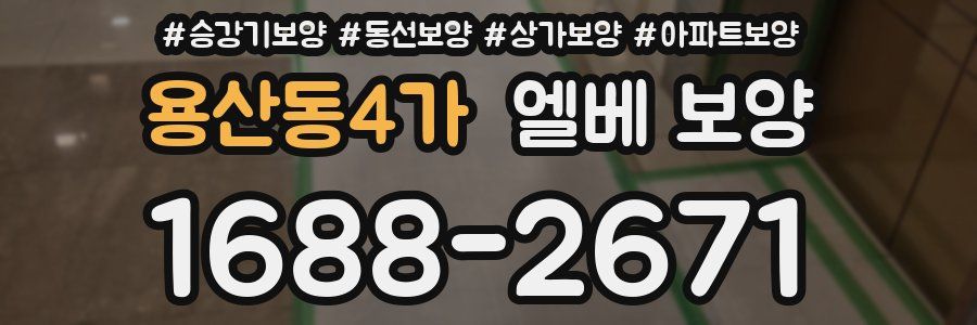 용산동4가 엘베 보양