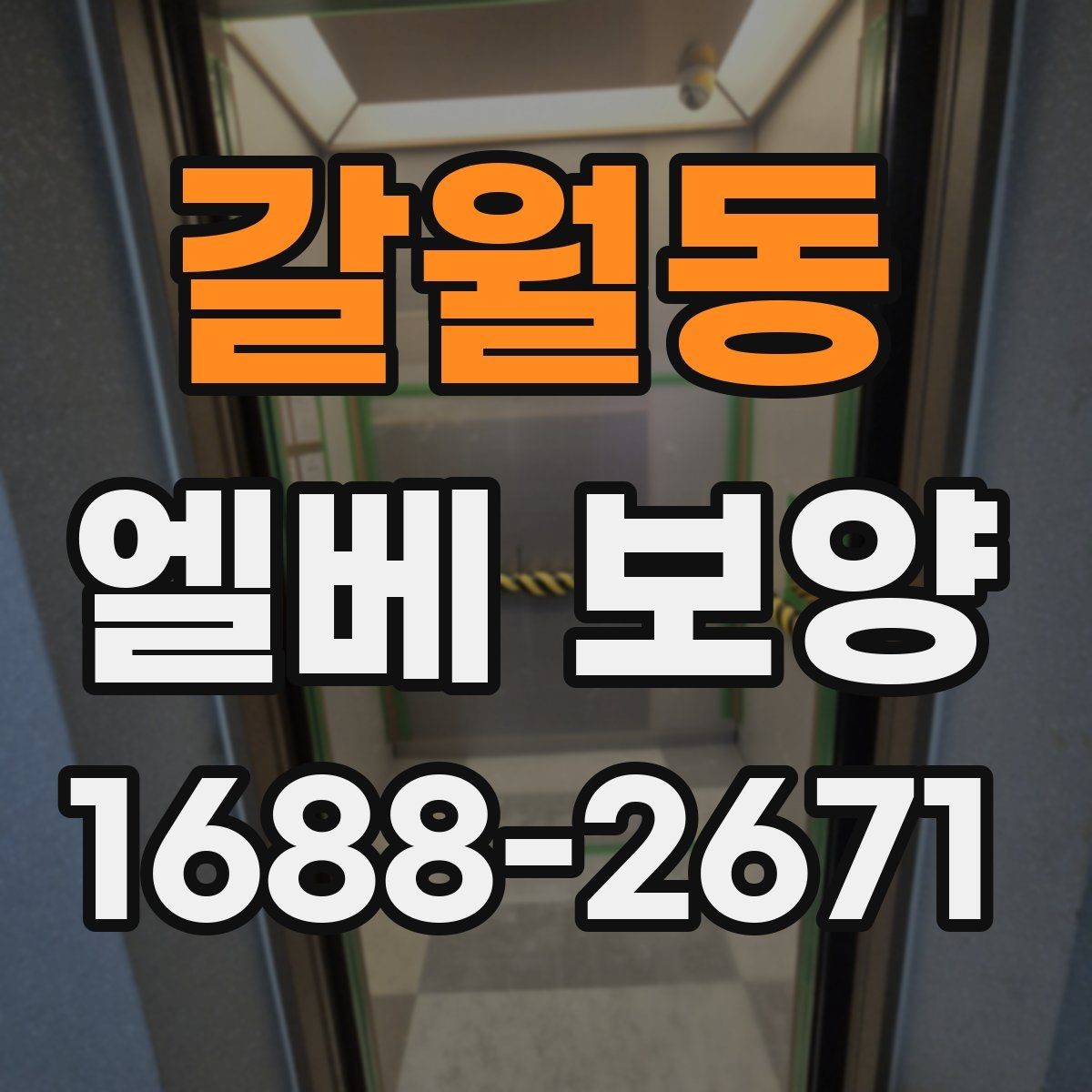 갈월동 엘베 보양 작업 전후 사진이 필요한 순간