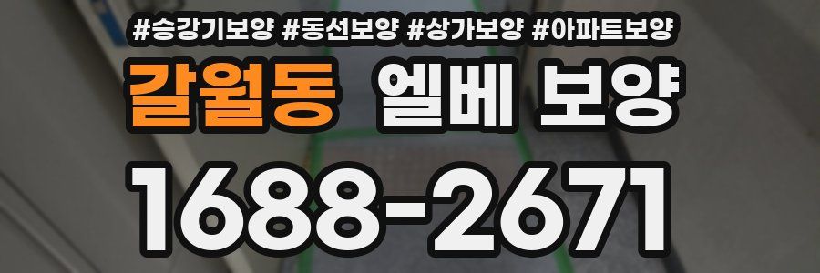 갈월동 엘베 보양