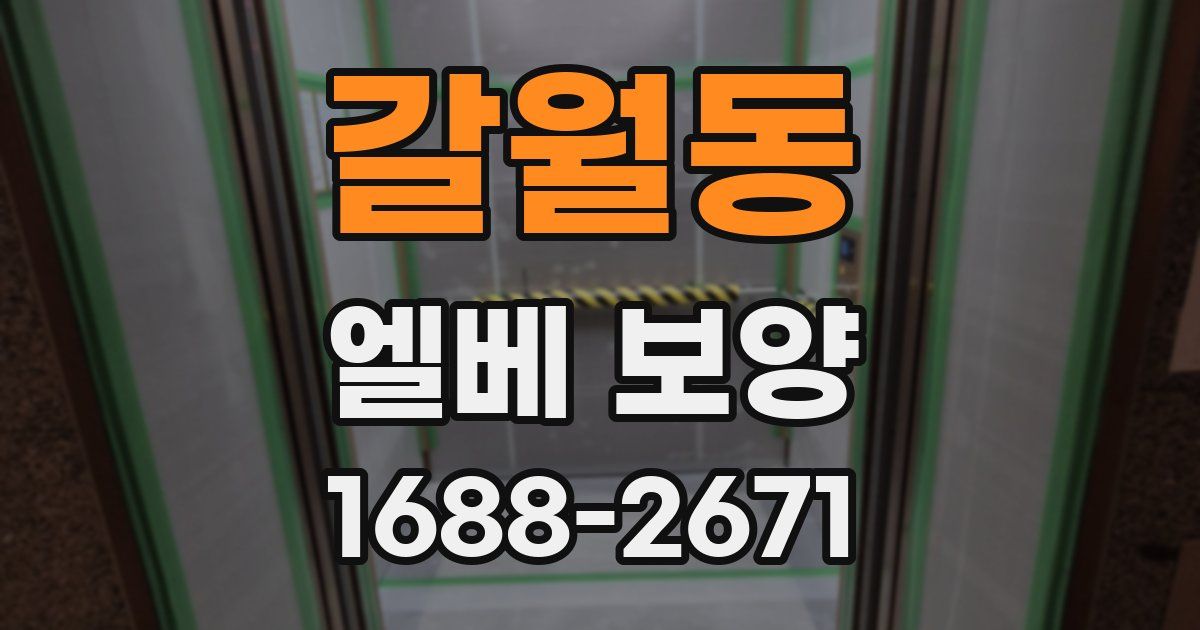 갈월동 엘베 보양
