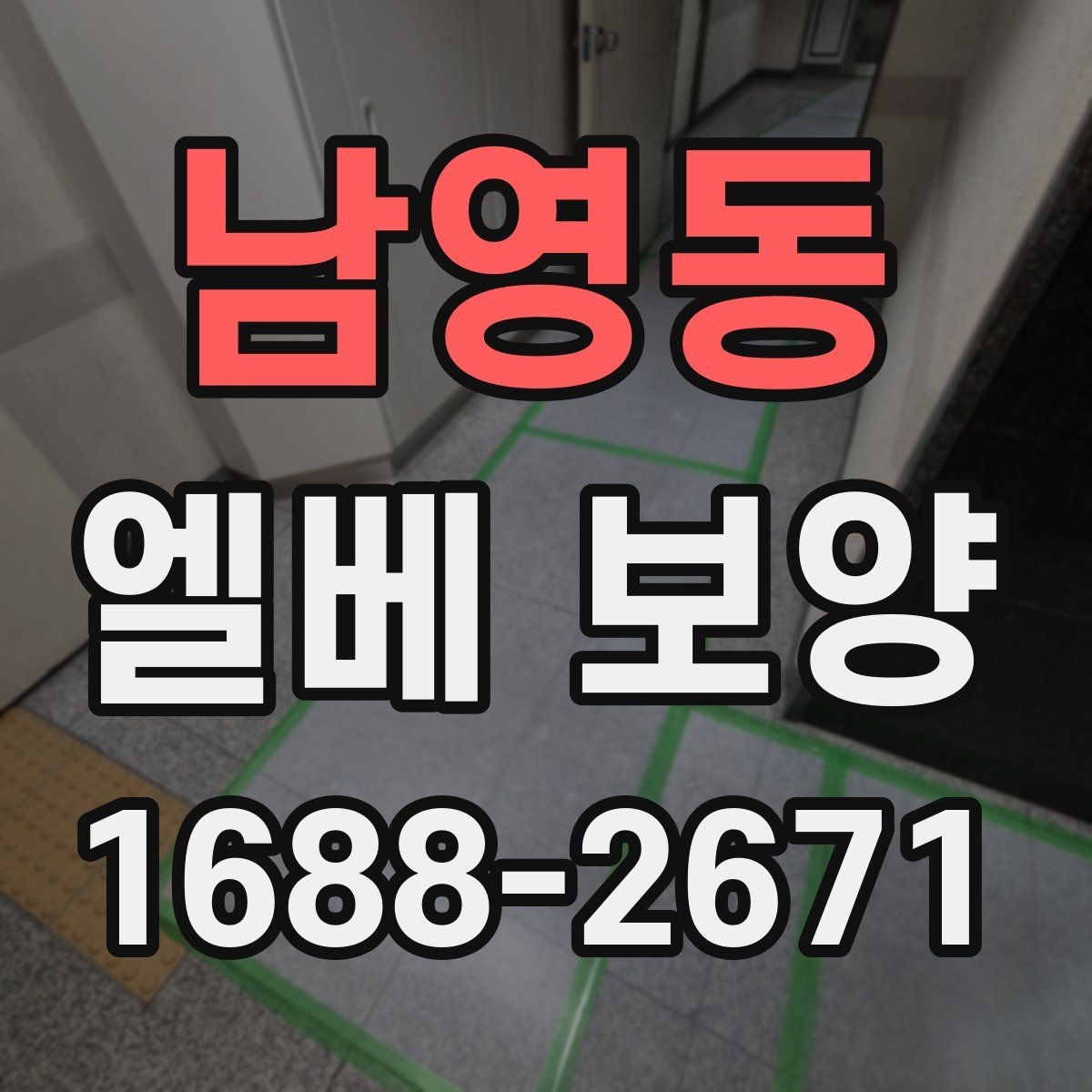 남영동 엘베 보양 보행 동선이 복잡한 현장에서 먼저 볼 점