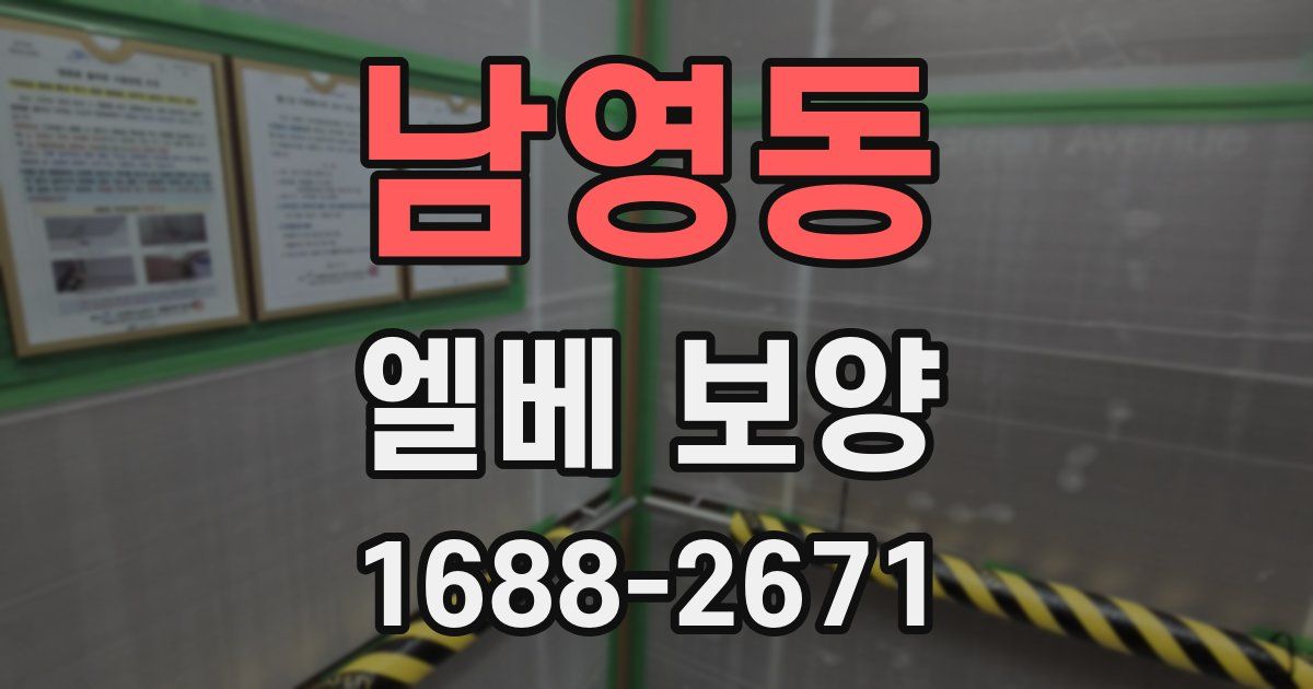 남영동 엘베 보양