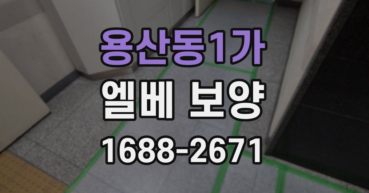 용산동1가 엘베 보양