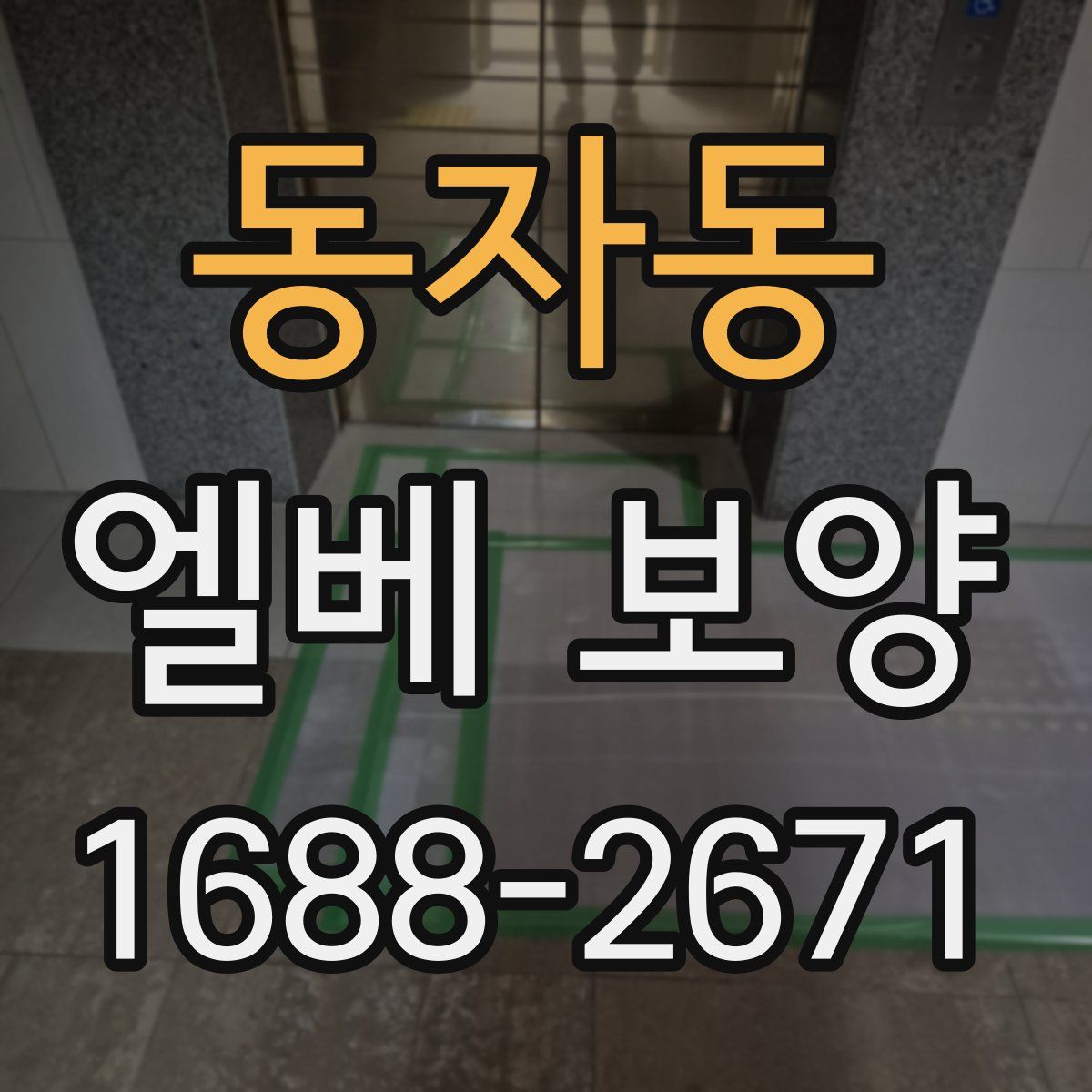 동자동 엘베 보양