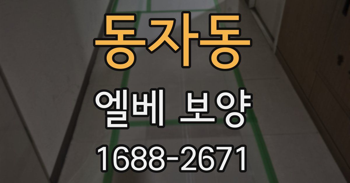 동자동 엘베 보양