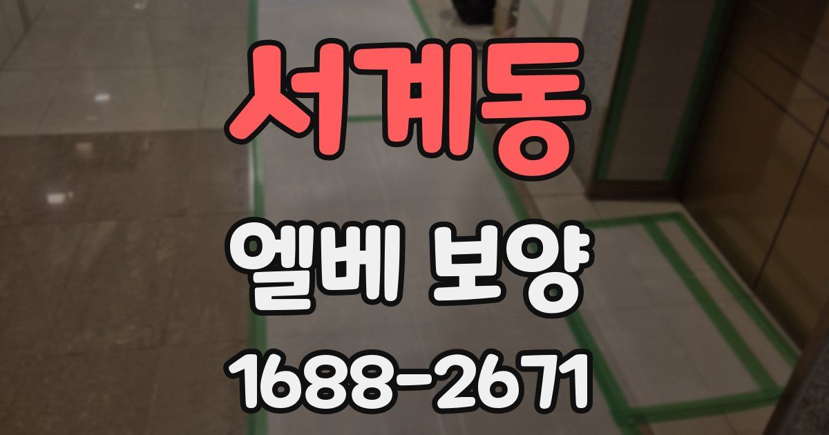 서계동 엘베 보양