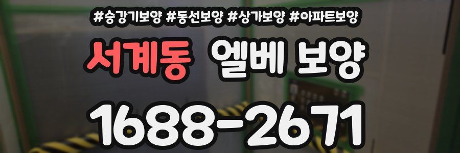 서계동 엘베 보양